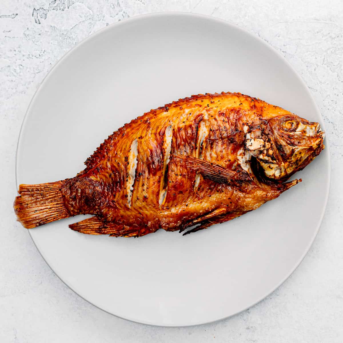 TILAPIA FISH